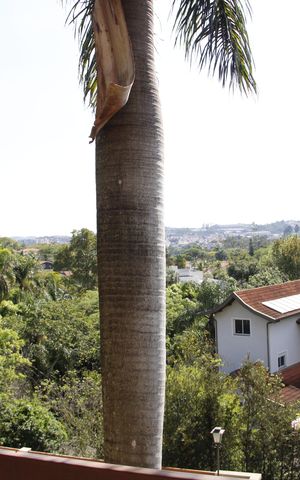 Casa de condomínio para alugar com 920m², 3 quartos e 4 vagasVaranda