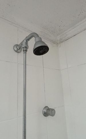 Apartamento para alugar com 78m², 3 quartos e 1 vagaBanheiro