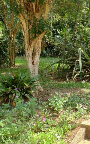 Casa de condomínio para alugar com 216m², 4 quartos e 4 vagas Casa de condomínio para alugar com 216m², 4 quartos e 4 vagasÁrea externa