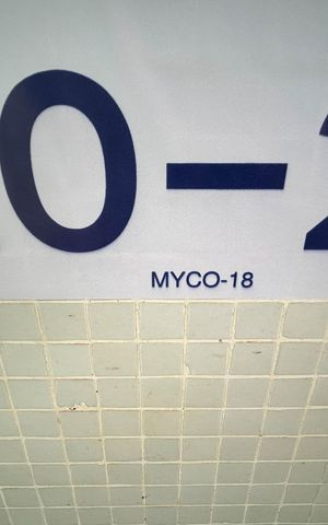 Apartamento para alugar com 90m², 2 quartos e 1 vaga Apartamento para alugar com 90m², 2 quartos e 1 vagaPlaca