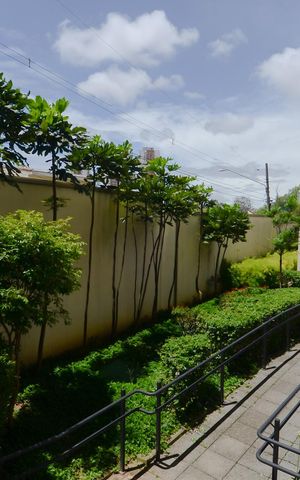 Apartamento para alugar com 70m², 2 quartos e 1 vaga Apartamento para alugar com 70m², 2 quartos e 1 vagaChurrasqueira