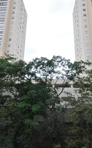 Apartamento para alugar com 70m², 2 quartos e 1 vagaVista do Quarto 2