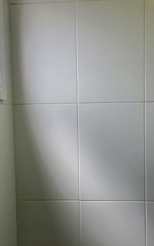 Apartamento à venda com 55m², 2 quartos e 1 vagaBanheiro da Suíte