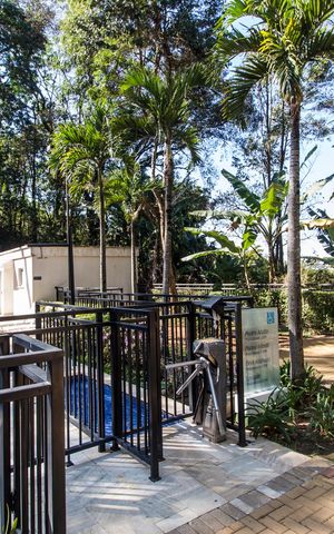 Apartamento para alugar com 52m², 2 quartos e 1 vagaPiscina