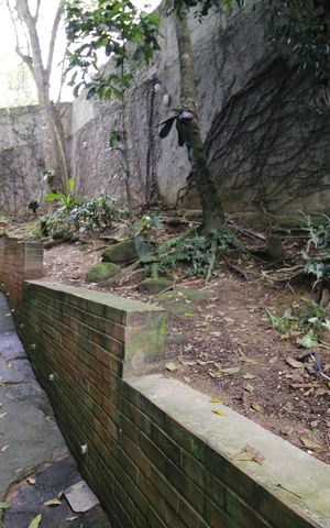 Casa de condomínio à venda com 700m², 4 quartos e 2 vagasQuintal