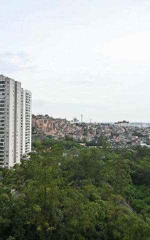 Apartamento para alugar com 47m², 2 quartos e 1 vagaVista do Quarto 2
