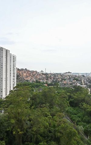 Apartamento para alugar com 47m², 2 quartos e 1 vagaVista do Quarto 1