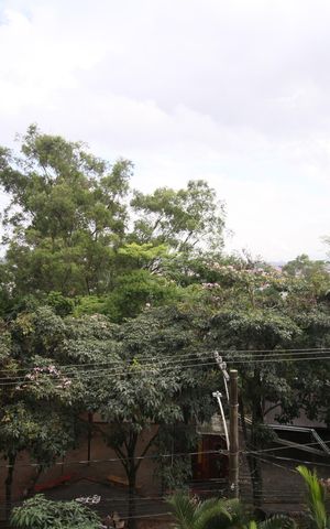 Apartamento à venda com 64m², 2 quartos e 1 vagaVista da Varanda
