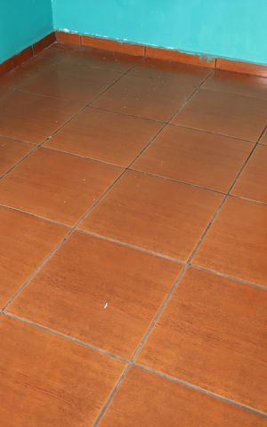 Apartamento para alugar com 50m², 2 quartos e sem vagaQuarto 2