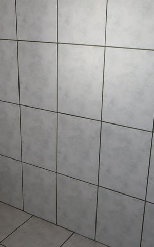 Apartamento para alugar com 50m², 2 quartos e sem vagaBanheiro