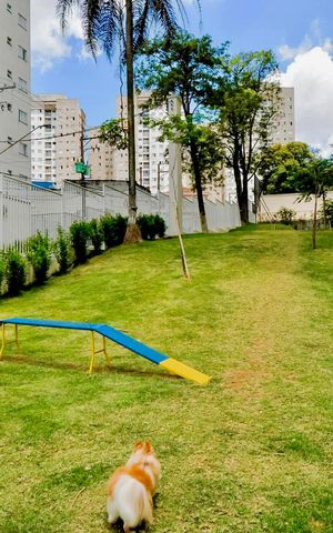 Apartamento à venda com 73m², 3 quartos e 2 vagas Apartamento à venda com 73m², 3 quartos e 2 vagasEspaço pet