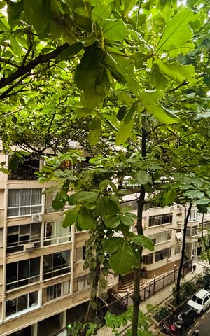 Apartamento à venda com 110m², 3 quartos e 1 vaga