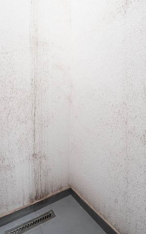 Apartamento para alugar com 28m², 1 quarto e sem vagaKitnet