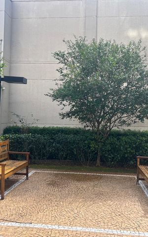 Apartamento à venda com 95m², 3 quartos e 2 vagasÁrea comum