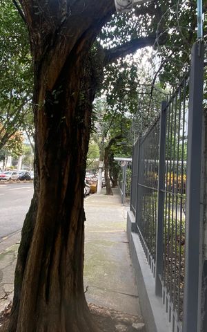 Apartamento para alugar com 64m², 3 quartos e 1 vaga Apartamento para alugar com 64m², 3 quartos e 1 vagaFachada do Prédio e Placa