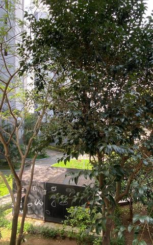 Apartamento para alugar com 64m², 3 quartos e 1 vaga Apartamento para alugar com 64m², 3 quartos e 1 vagaSala - Varanda - Vista