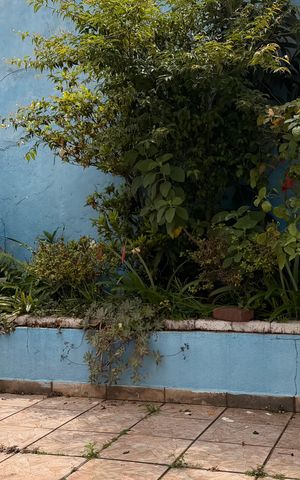 Casa para alugar com 75m², 3 quartos e 2 vagas Casa para alugar com 75m², 3 quartos e 2 vagasVaranda