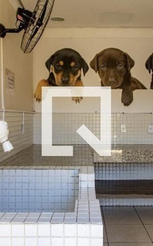 Apartamento para alugar com 48m², 2 quartos e 1 vaga Apartamento para alugar com 48m², 2 quartos e 1 vagaÁrea comum - Pet