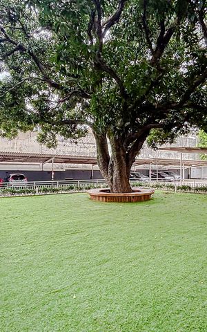 Apartamento à venda com 70m², 3 quartos e 1 vagaÁrea comum