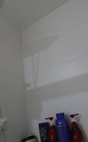 Apartamento à venda com 38m², 2 quartos e sem vagaBanheiro