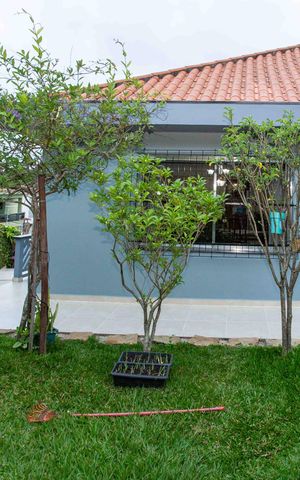 Casa à venda com 240m², 4 quartos e 10 vagasQuintal
