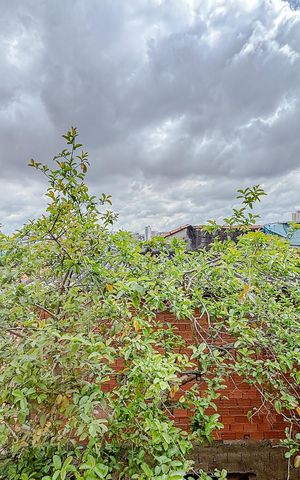 Casa de condomínio à venda com 86m², 2 quartos e 1 vagaVista do Quarto 1