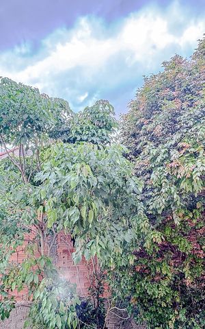 Casa de condomínio à venda com 86m², 2 quartos e 1 vagaVista do Quarto 1