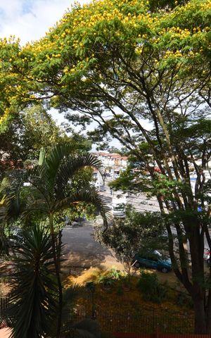 Apartamento à venda com 50m², 2 quartos e 1 vagaSALA