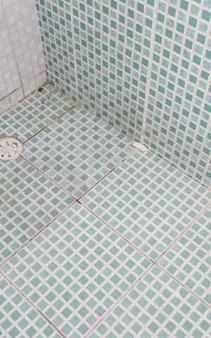 Casa para alugar com 250m², 2 quartos e 2 vagasBanheiro da Suíte