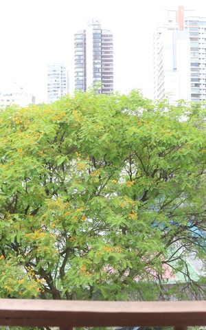 Apartamento à venda com 132m², 3 quartos e 1 vagaQuarto 1