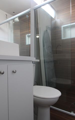 Apartamento para alugar com 55m², 2 quartos e 1 vagaBanheiro da suíte