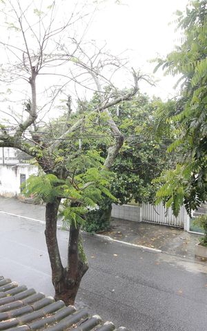 Casa para alugar com 117m², 5 quartos e 3 vagasQuarto 3