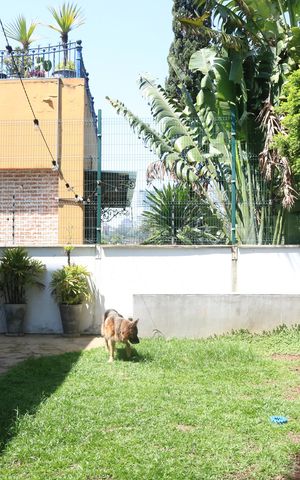 Casa à venda com 450m², 6 quartos e 1 vagaQuintal