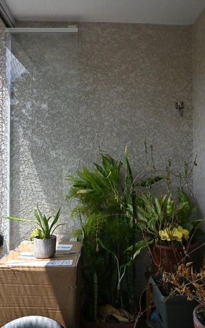 Apartamento para alugar com 64m², 3 quartos e 2 vagasVaranda