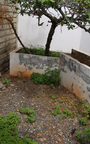 Casa à venda com 330m², 4 quartos e 3 vagasQuintal