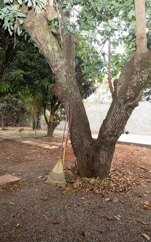Casa de condomínio para alugar com 277m², 3 quartos e 2 vagas