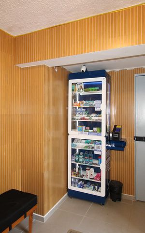 Apartamento para alugar com 44m², 2 quartos e sem vagaÁrea comum