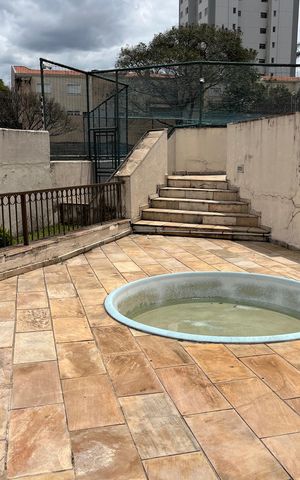 Apartamento para alugar com 56m², 2 quartos e 1 vaga Apartamento para alugar com 56m², 2 quartos e 1 vagaÁrea comum - Piscina