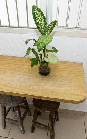 Casa para alugar com 24m², 1 quarto e sem vaga Casa para alugar com 24m², 1 quarto e sem vagaQuarto - Mesa e Cadeiras