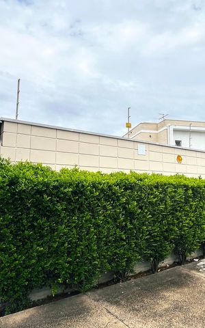 Studio para alugar com 40m², 1 quarto e sem vaga