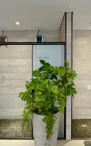 Apartamento à venda com 277m², 4 quartos e 4 vagas Apartamento à venda com 277m², 4 quartos e 4 vagasSpa