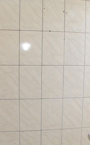 Casa para alugar com 60m², 1 quarto e 1 vaga Casa para alugar com 60m², 1 quarto e 1 vagaÁrea de Serviço
