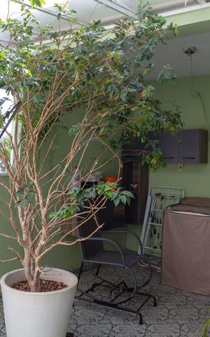 Casa para alugar com 75m², 2 quartos e 1 vagaÁrea de Serviço