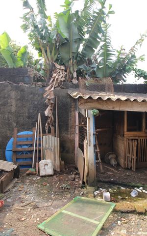 Casa para alugar com 300m², 3 quartos e 3 vagasÁrea externa