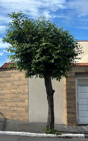 Casa à venda com 90m², 2 quartos e 2 vagas Casa à venda com 90m², 2 quartos e 2 vagasFachada