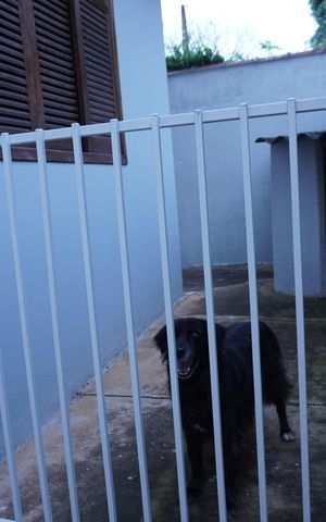 Casa para alugar com 500m², 6 quartos e 12 vagasCanil
