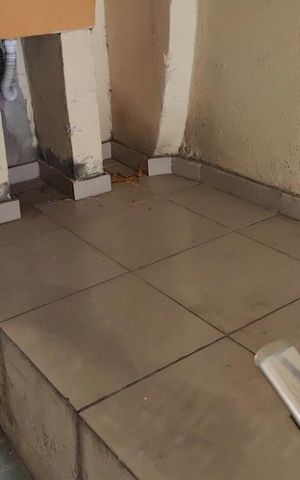 Casa para alugar com 50m², 1 quarto e sem vaga Casa para alugar com 50m², 1 quarto e sem vagaÁrea de serviço