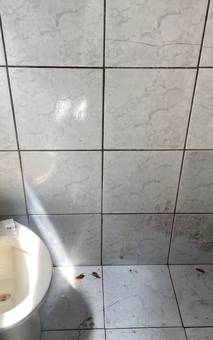 Casa para alugar com 25m², 1 quarto e sem vaga Casa para alugar com 25m², 1 quarto e sem vagaBanheiro