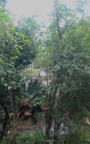 Casa à venda com 150m², 4 quartos e 1 vagaVista