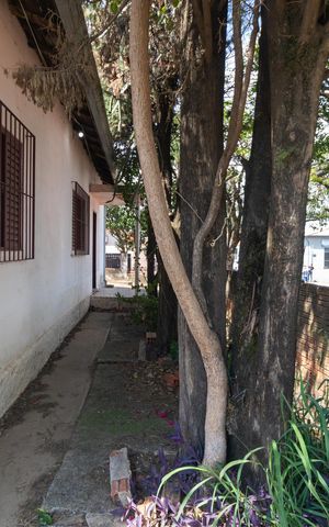Casa à venda com 354m², 2 quartos e sem vaga Casa à venda com 354m², 2 quartos e sem vagaQuintal